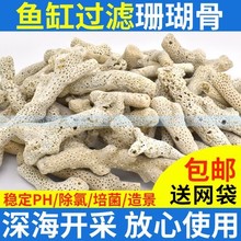 珊瑚石鱼缸过滤材料珊瑚骨珊瑚沙珊瑚礁底砂死石水族箱造景珊瑚石