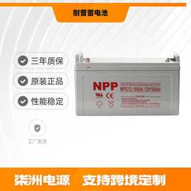 NPP耐普蓄电池NPG100-12 太阳能 12v100AH 直流屏 蓄电池