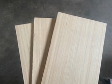 工厂直销4-28厘二次成型科技木面杨木胶合板背板工艺品板免熏蒸