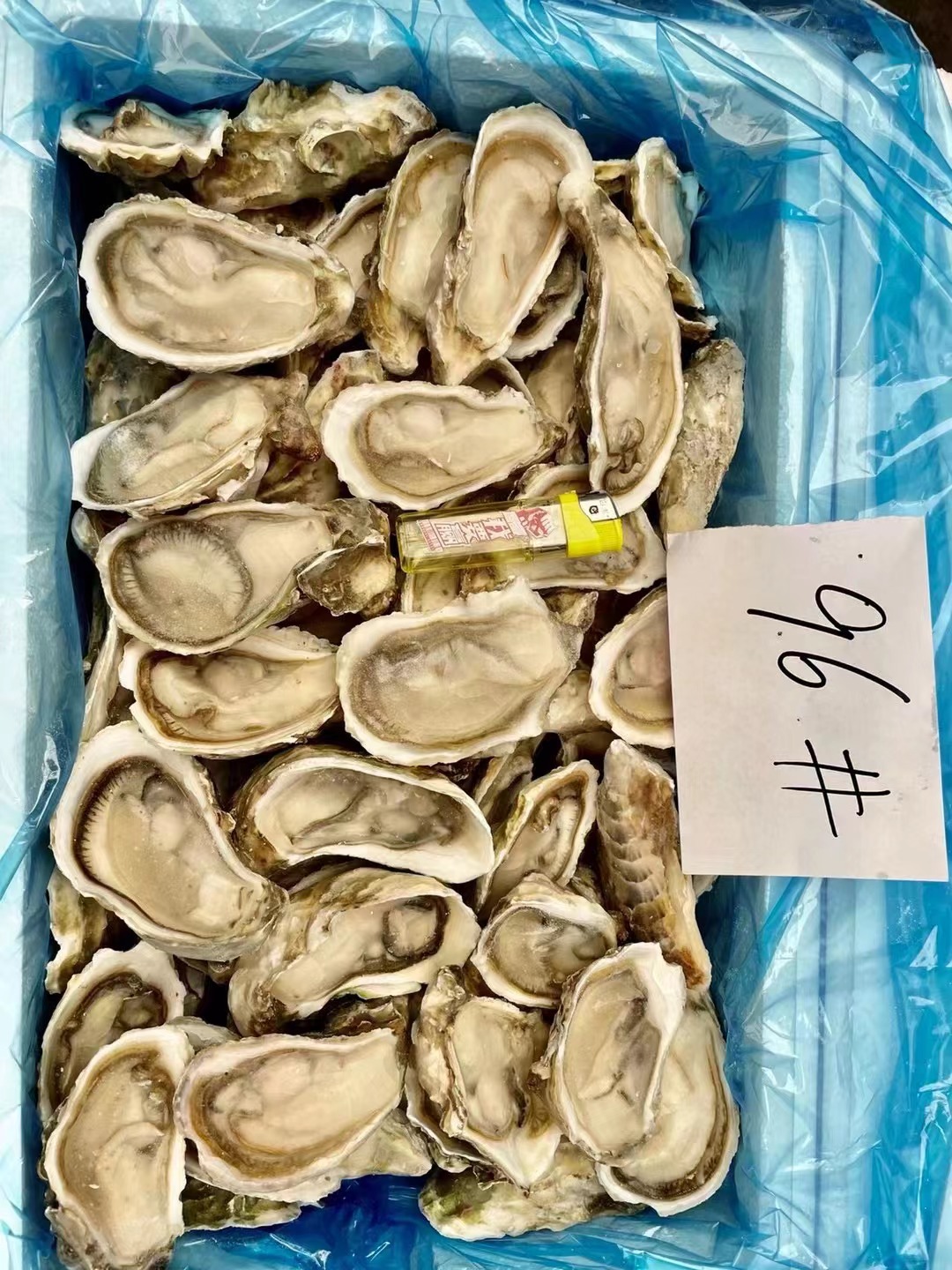 120个(10-12cm)货号生蚝净重(规格)7000(g)储藏方法冷冻包装方式食用