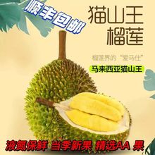 马来西亚D197猫山王榴莲源头直销液氮冷冻水果一件代发