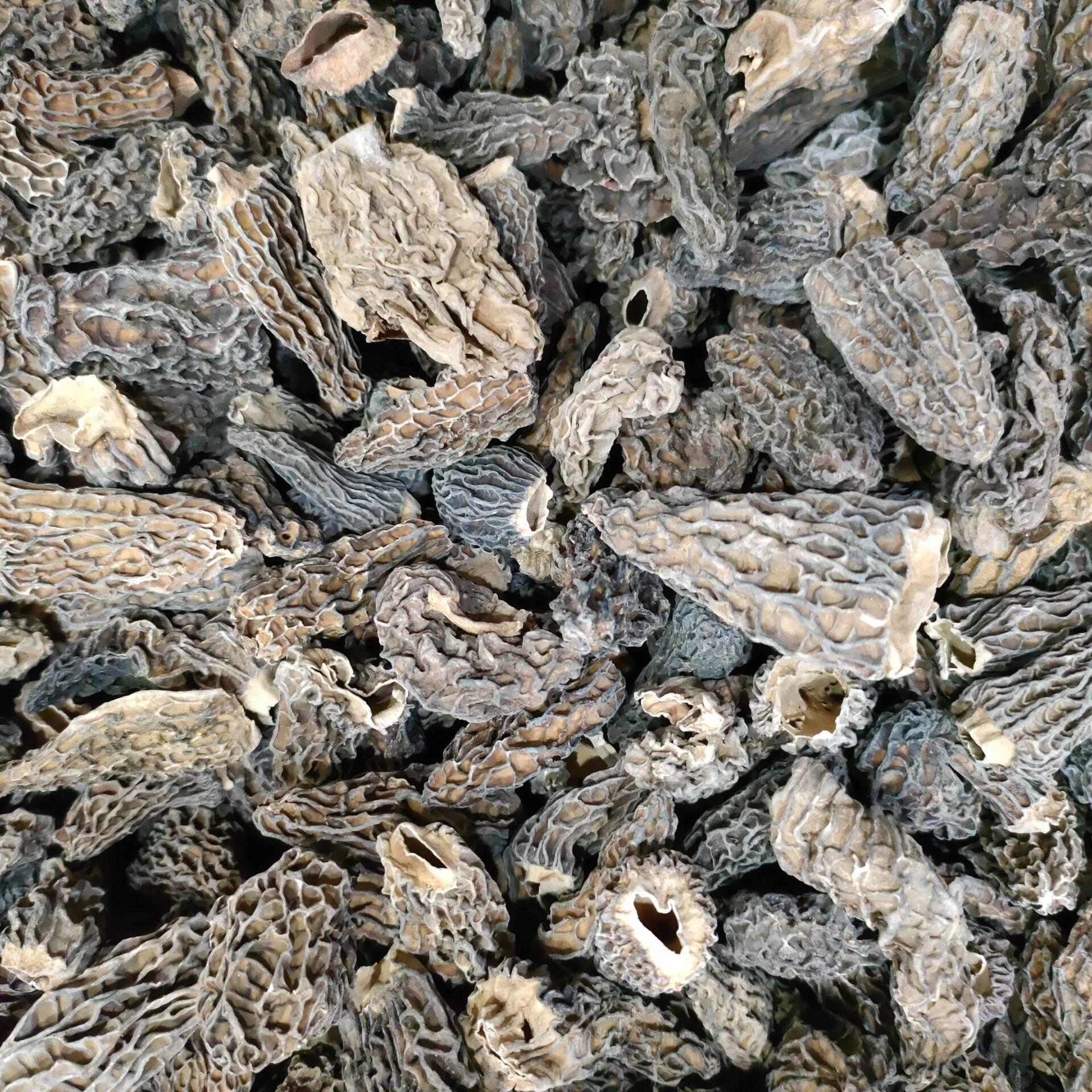 云南特产羊肚菌野生菌菇干片厂家直发羊菌菇干片蘑菇支持oem