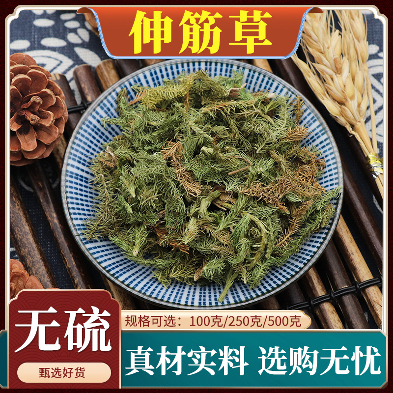 伸筋草中药材马尾筋骨草泡脚毛狮舒筋草石松狮天然批发500g克
