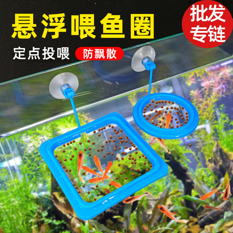 鱼缸喂食器喂鱼神器孔雀鱼漂浮喂食圈丰年虾投食器鱼食投喂器