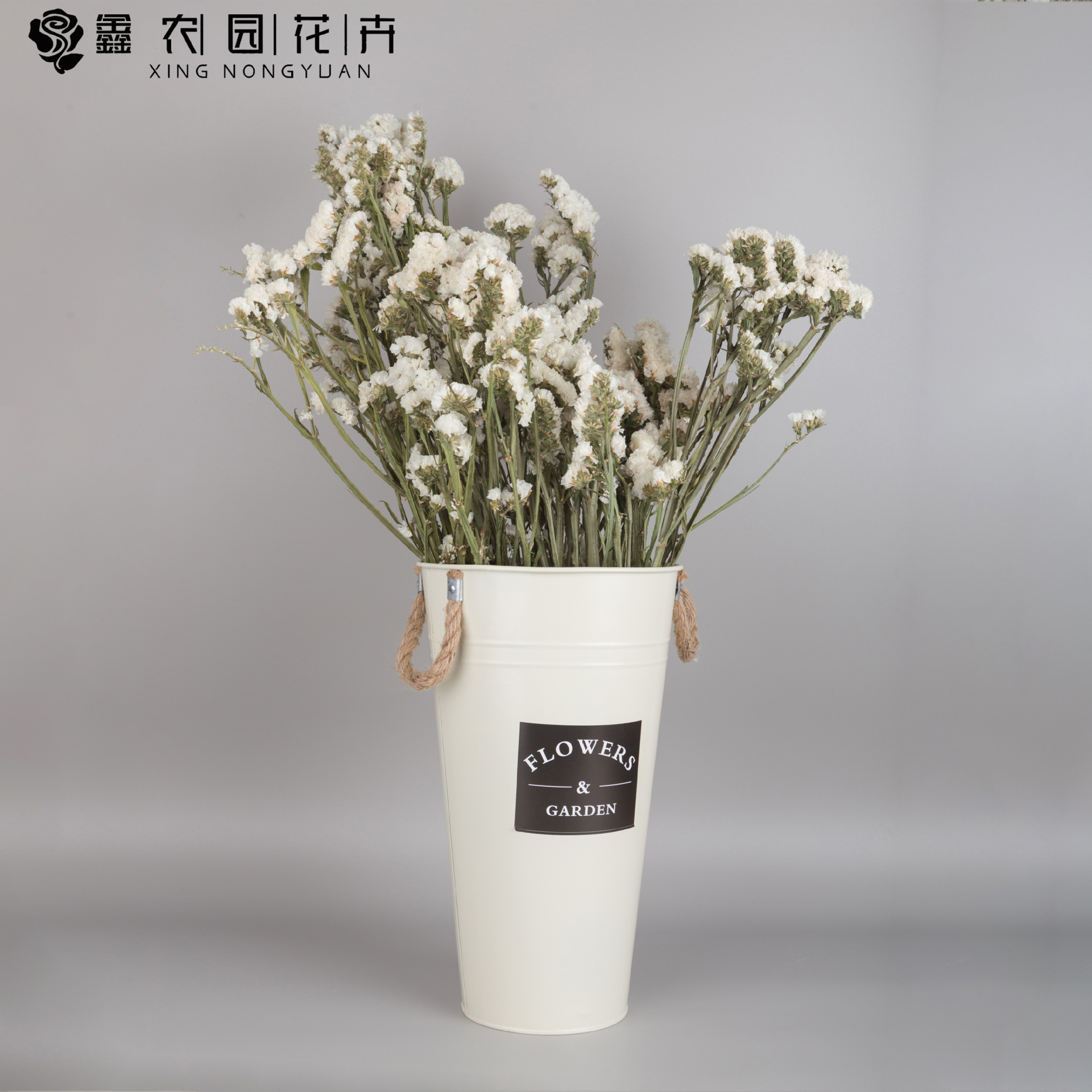 勿忘我干花按斤卖云南干花花束花艺插花居家摆件婚庆装饰七夕