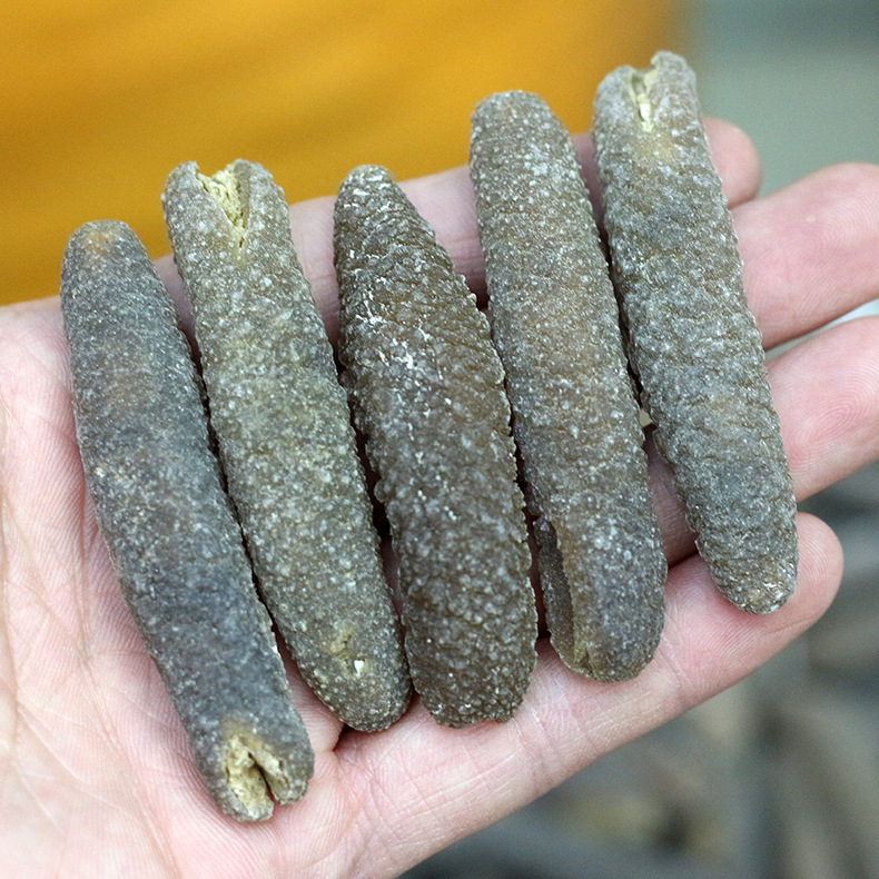 淡干金沙海参 黄金秃参 金白沙秃海参 泡发10倍 干货500g-阿里巴巴