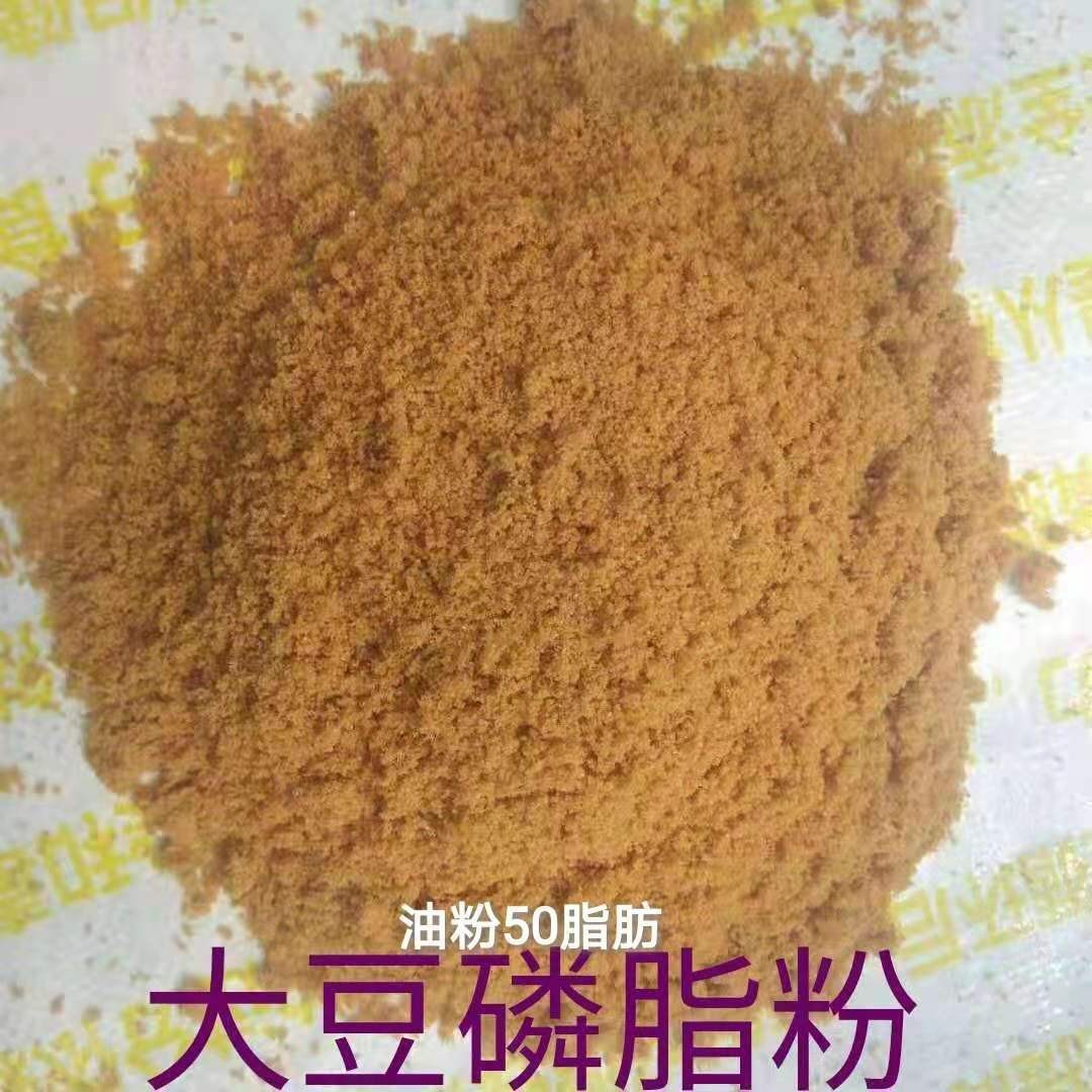厂家大量大豆卵磷脂粉 动物饲料 易吸收脂肪粉饲料 大豆磷脂粉