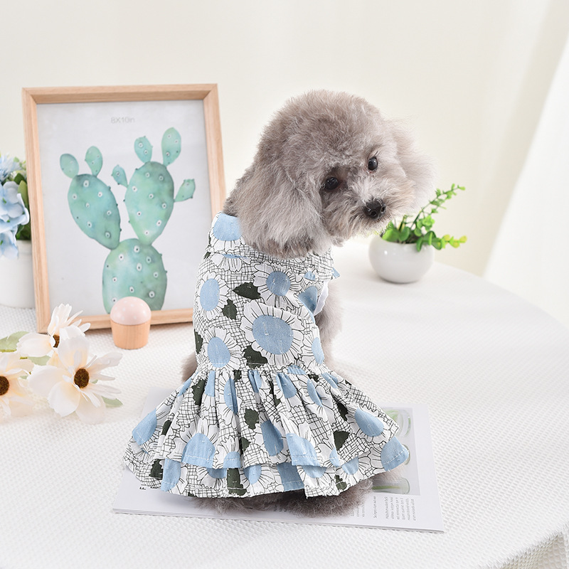 可爱春夏季大花瓣连衣裙狗狗小型犬薄款两脚衣服宠物泰迪裙子