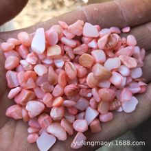 彩色贝壳片精抛光天然贝壳沙水磨石骨料地坪骨料用不规则贝壳砂