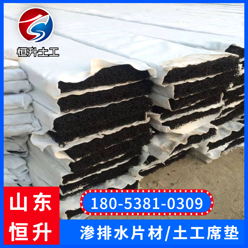 山东恒升厂家  高铁挡土墙用 包布渗排水片材pff整体式复合反滤层