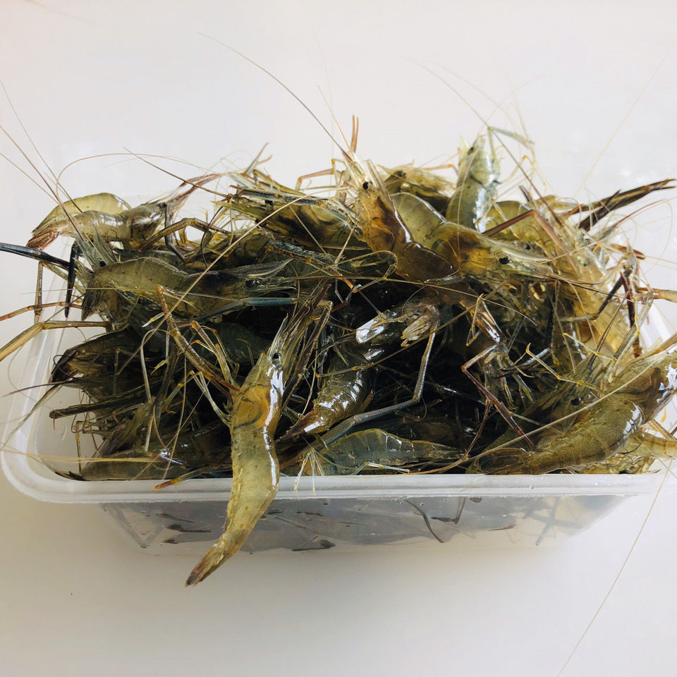 3斤顺丰包邮淡水小河虾新鲜活体速冻小青虾草虾真空基地直发-阿里巴巴