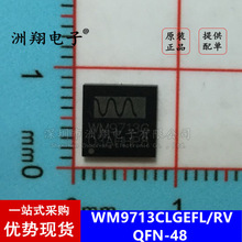 优势 WM9713G WM9713CLGEFL/RV 音频接口芯片 QFN-48 原装正品