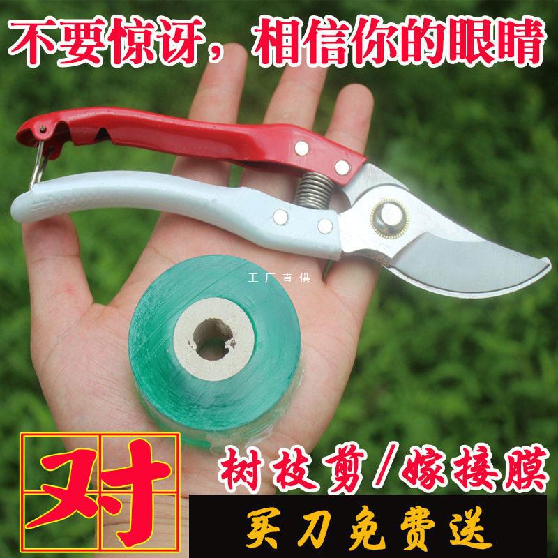 嫁接刀芽接刀锋利工具果粗树特种钢省力修枝农用园艺师嫁接花卉