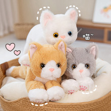 新款仿真猫咪玩具跨境可爱小猫咪毛绒公仔儿童安抚陪伴宠物抱枕