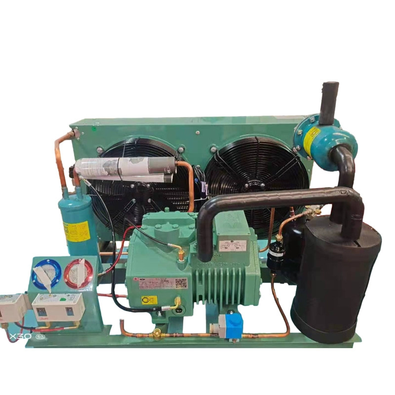 比泽尔4fes-3/4ees-6蔬菜水果鲜花冷库3匹到6匹中低温制冷压缩机