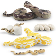 仿真野生动物模型蟒蛇蚺蛇埋头蛇王字蛇生命生长周期儿童科教玩具