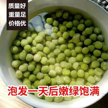 农家新货青豌豆干货生豌豆新干豌豆杂粮麦豆可食用可做芽菜半斤起