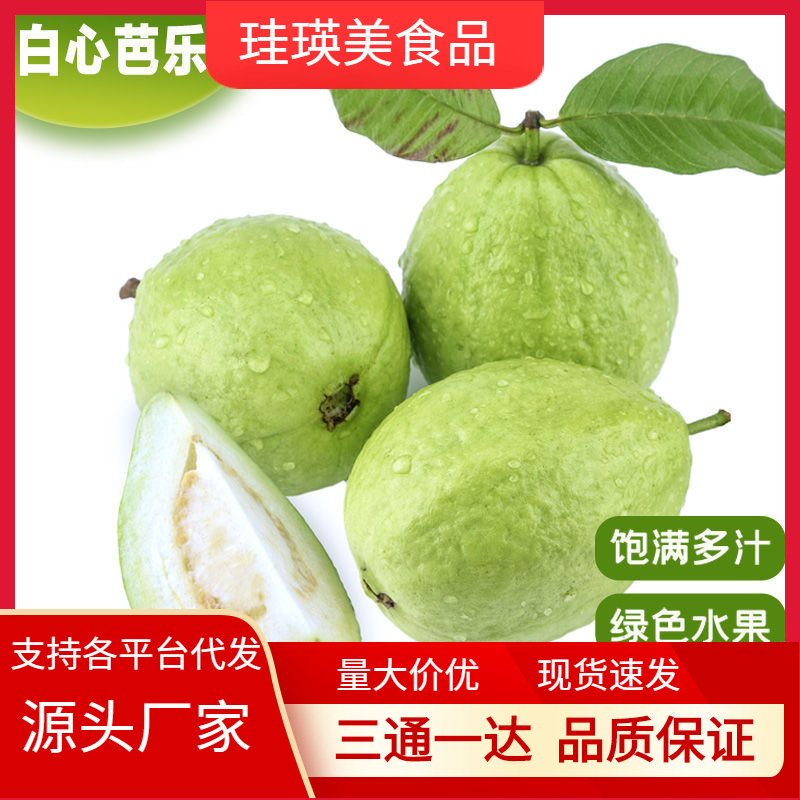 芭乐台湾珍珠芭乐送酸梅粉当季新鲜水果甜脆硬番石榴代发整箱批发