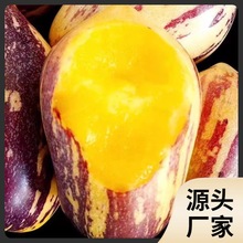 甘肃人参果新鲜整箱包邮人叁果民勤黄肉人生果大果长果水果