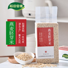 新米燕麦胚芽米全胚芽米五谷杂粮厂家批发散装真空装燕麦米500克