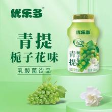 青提栀子花味乳酸菌0脂含乳饮料发酵餐后乳制品100ml*20瓶