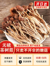 2023云南农家茶树菇干货甄选不开伞切根新鲜茶薪菇香菇蘑菇250g
