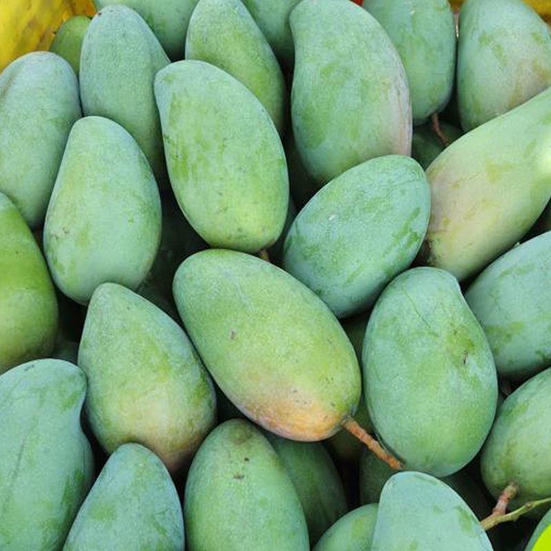 海南大青芒当季新鲜水果贵妃金煌芒三亚青皮芒果整箱批发顺丰包邮