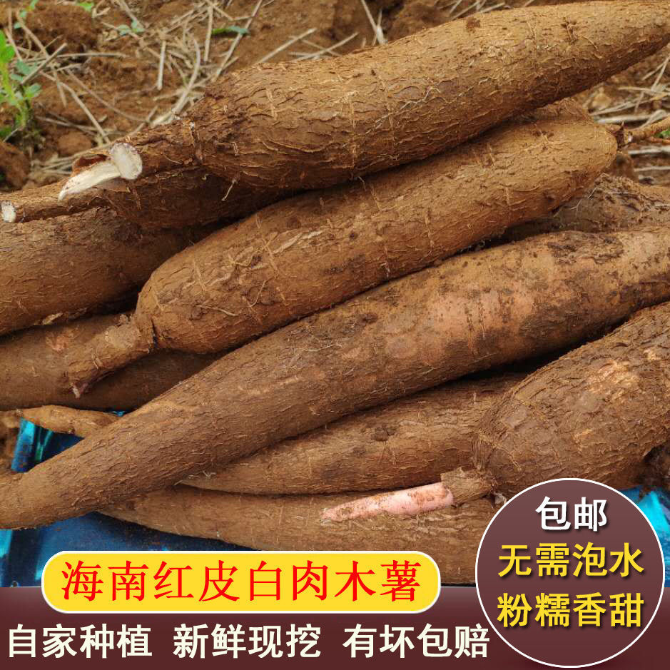 【木薯】海南正宗红皮白肉新鲜木薯自家现挖新鲜黄心板栗薯木番薯