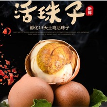 包邮毛蛋活珠子鸡蛋 13天喜蛋熟鸡胚蛋钢化蛋无毛白/红壳五香原味