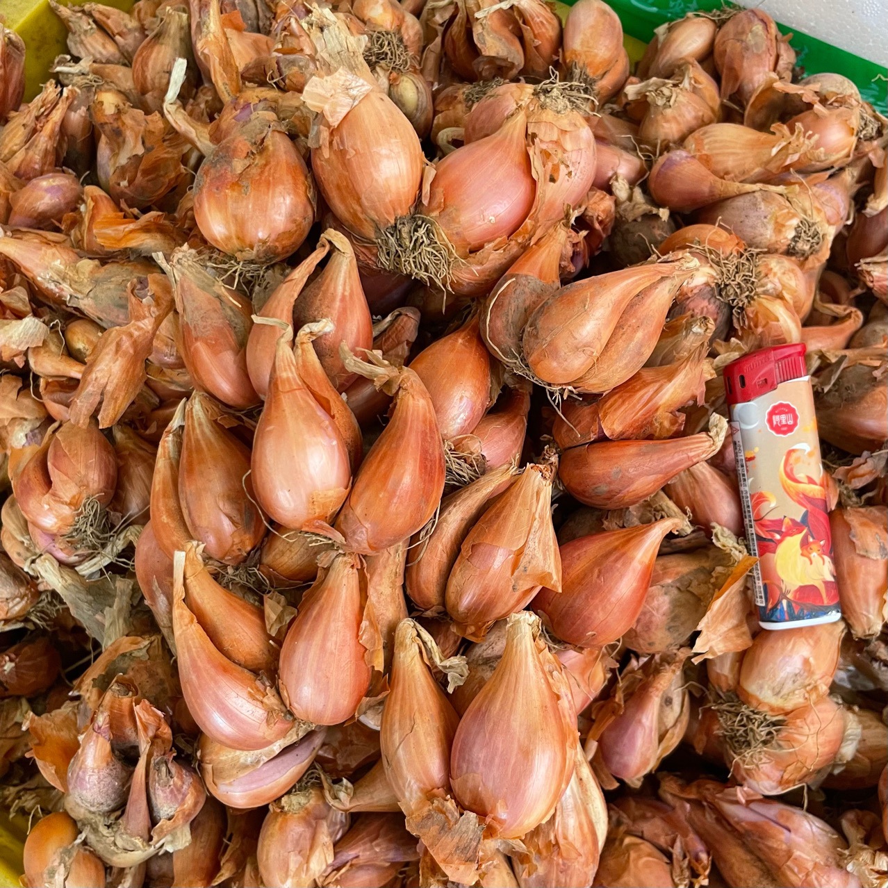 香葱头新鲜黄葱头农家本地干葱头火葱种子葱果子盆栽饼皮熬油 2斤