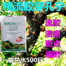 樱桃杏树果树桃树专用肥流胶病专用药杀菌剂桃树伤口愈合剂