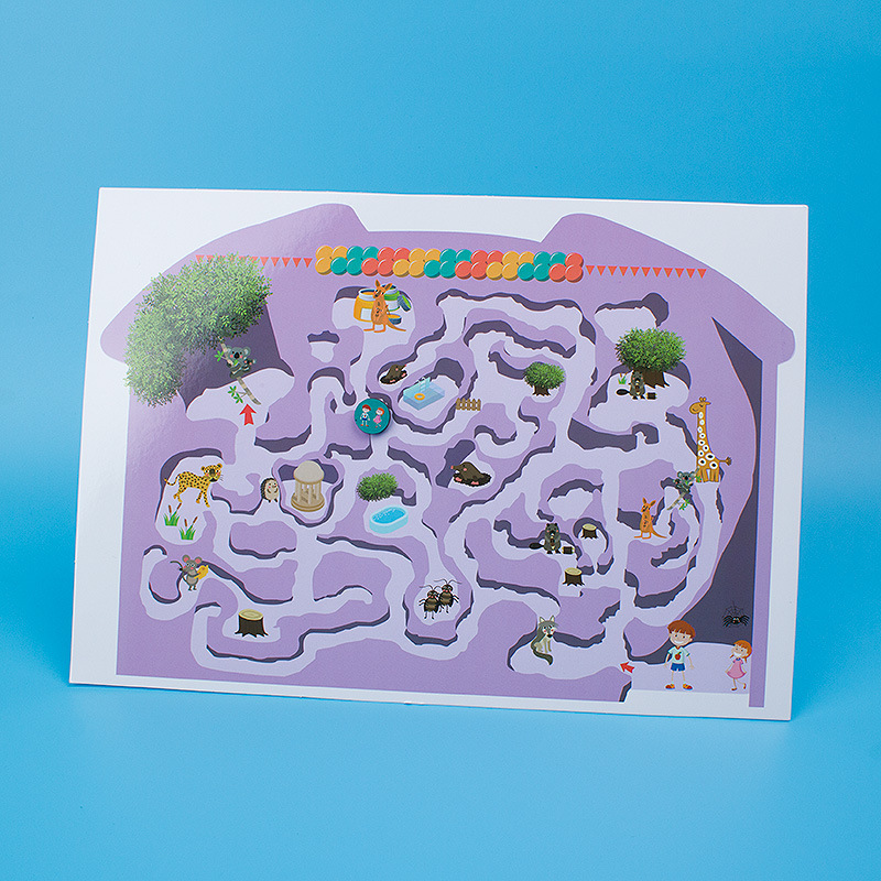 Magnet Maze Science and Education Educational Children's Toys Cognitive Development Small Production Props