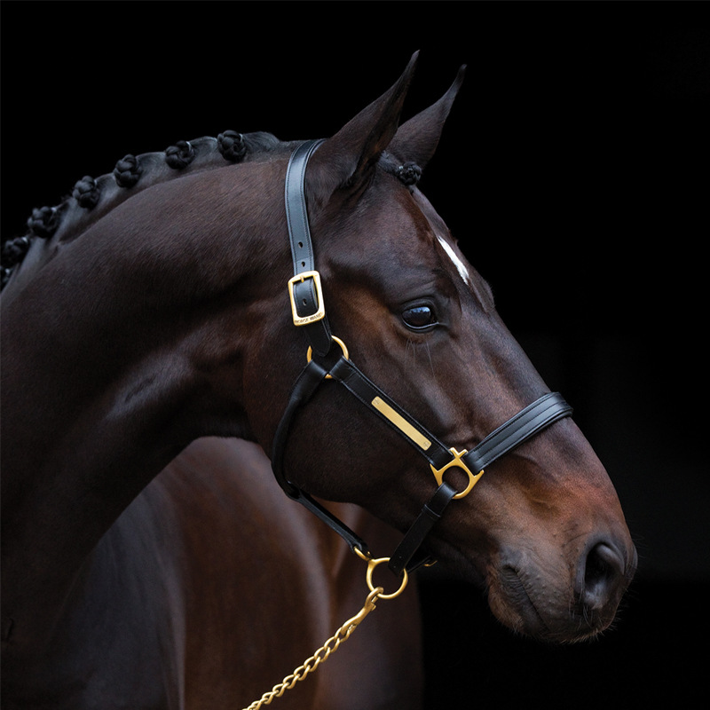 跨境 皮筋 马鬃毛 随机色 每包约500个 马具 马术 批发 8801061