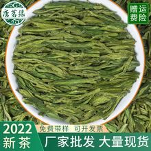 明前绿茶2022新龙井绿茶 回甘醇厚茶叶 批发250g装浓香龙井茶