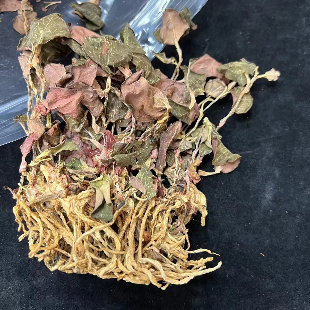 福建南靖金线莲种植干品台湾金线莲500克通用礼盒装传统养生草茶