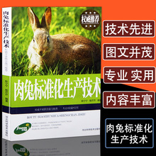 正版肉兔标准化生产技术养兔技术大全兔子养殖技术书兔病防治鉴别