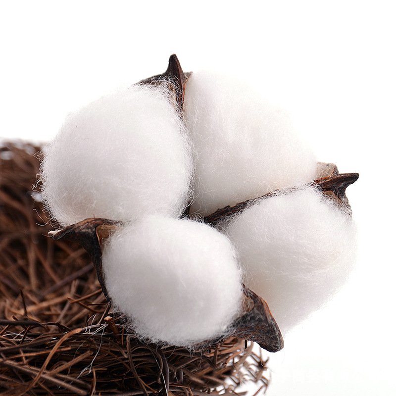 天然干花棉花头 diy手工艺品 单头木棉花头 居家装饰摄影道具
