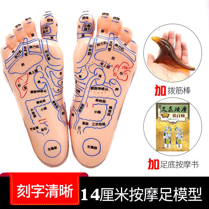 32成交42件中文穴位手套反射区手部按摩经络手疗手掌保健图解中医调理