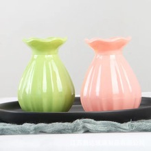 现代简约玻璃花瓶仿陶瓷水培干花两用家居装饰品摆件小清新香薰瓶