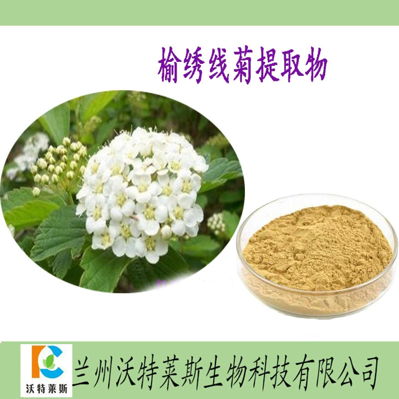 榆绣线菊提取物榆绣线菊多肽榆绣线菊提取液绣线菊提取物