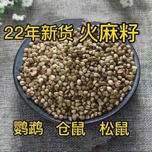 鸟粮火麻籽麻子材火麻仁仓鼠粮松鼠鹦鹉粮鸽粮火麻籽鸟粮