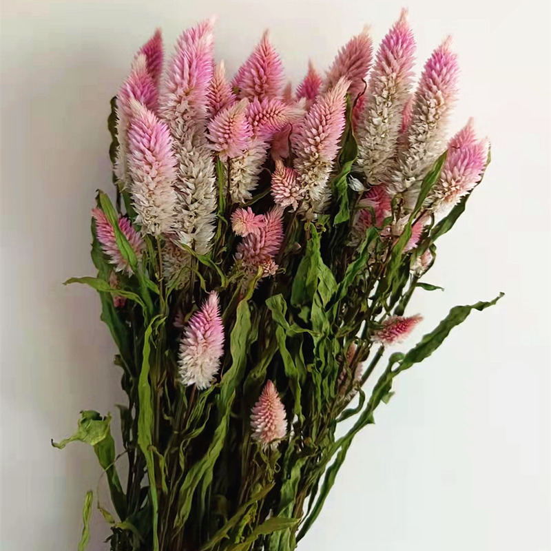 干真花