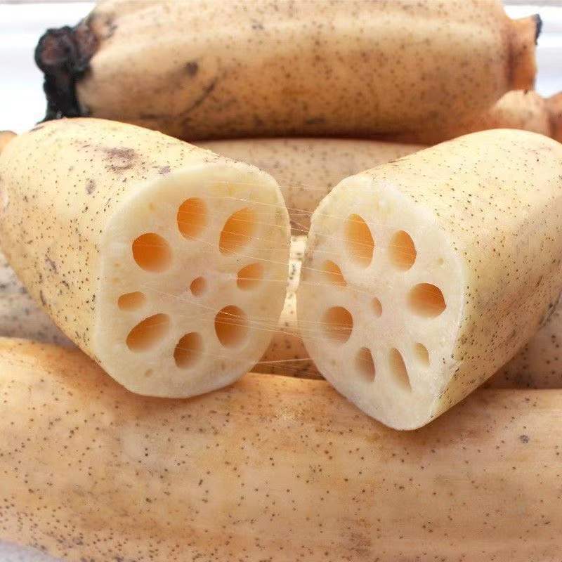 湖北洪湖精品莲藕新鲜煲汤现挖湖北脆藕粉藕特产3斤5斤包邮