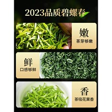 陈一凡碧螺春 特级茶叶2023新茶 明前云雾高山绿茶春茶浓香型袋装