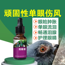 鸽眼康20ml/瓶 鸽子衣原体单眼伤风流泪鹦鹉常见病一滴灵非鸽药