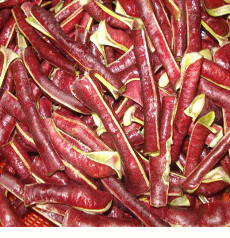 不搭架满地红豇豆种子 农田菜园肉厚嫩脆红长豆角蔬菜籽