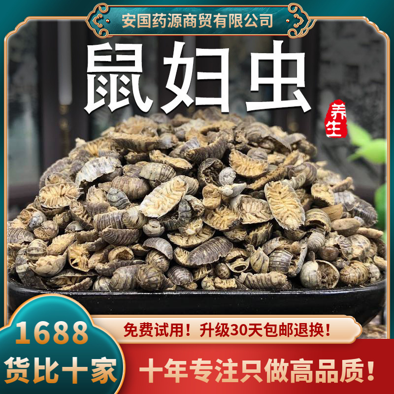 鼠妇中药材鼠妇虫潮虫西瓜虫潮湿虫潮虫子地虱婆非活虫体晒干新货