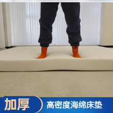 高密度海绵床垫1.5米1.8米加厚垫子学生宿舍单人榻榻米飘窗垫