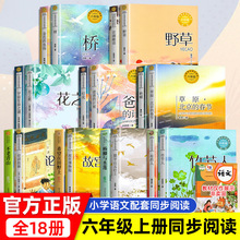六年级上册必课外读书竹节人故宫博物院小学生课外阅读书籍课文