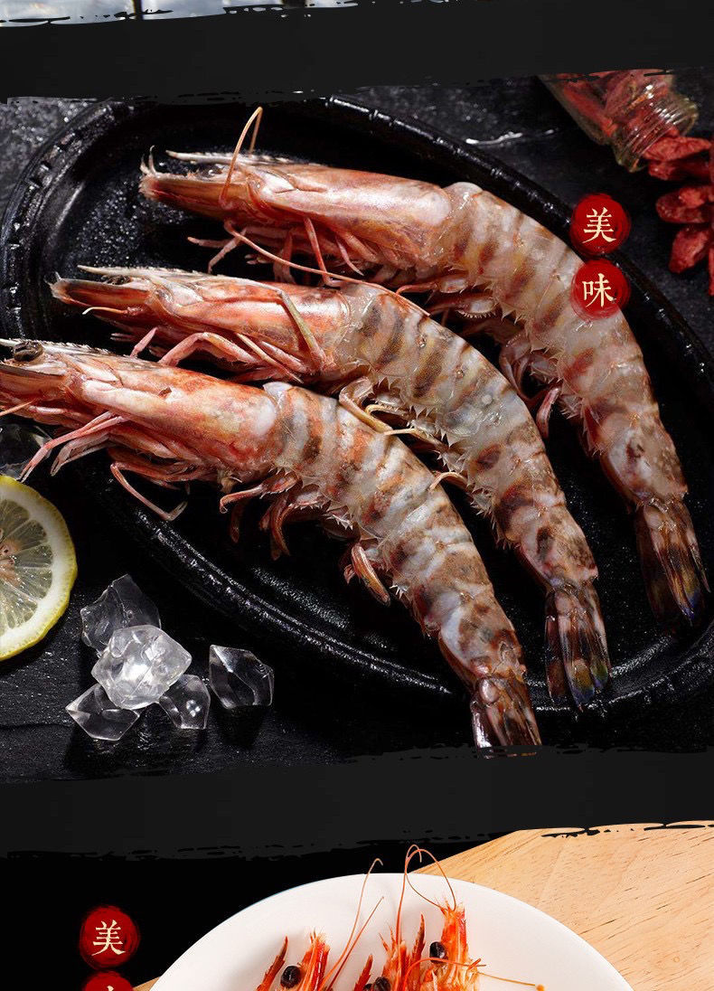 广东海鲜超大九节虾新鲜海虾速冻海虾竹节虾特大号斑节虾鲜活
